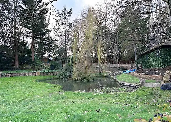 Forest Apartment Gated Parking On 2 Acres Garden